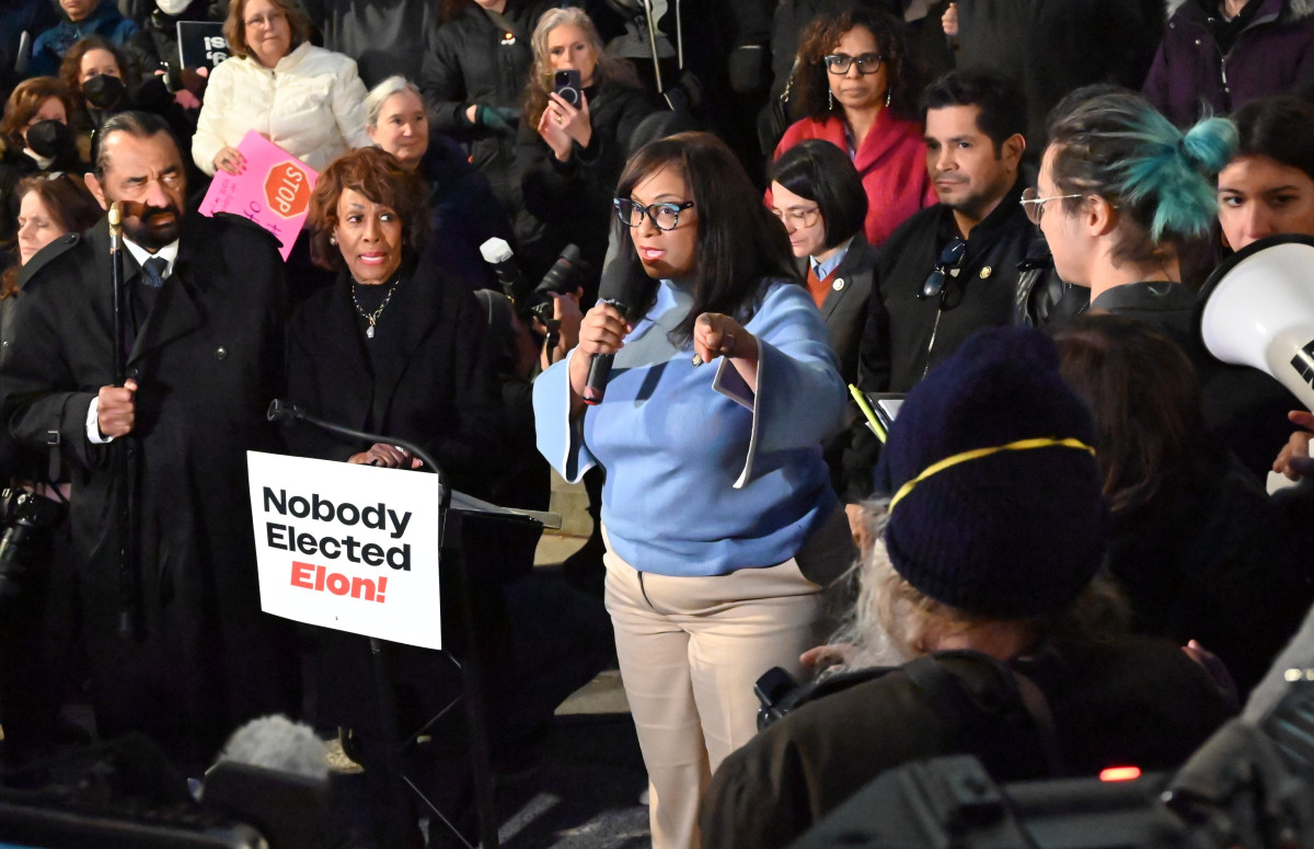 "Nobody Elected Elon!" Rally
